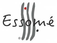 essomé coaching et formation à Lyon